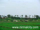 On the way to Adelli Village