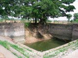 Koneru - Adelli Pochamma Temple