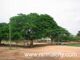 Adelli Pochamma Temple sorroundings