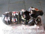 Lord Shiva Temple, Adelli