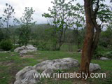 Sorroundings of Bramarambha Mallikarjuna Swamy Temple, Narsapur