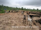 Rajasthani migrants in Narsapur village near temple