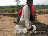 Rajasthani migrants in Narsapur village near temple