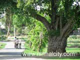 Soan village