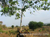 Burgupally Shivalayam sorroundings