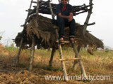 Burgupally Shivalayam sorroundings