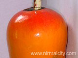 DSCN0492