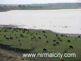 Swarna Project