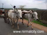 Swarna Village