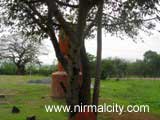 Temple Swarna project